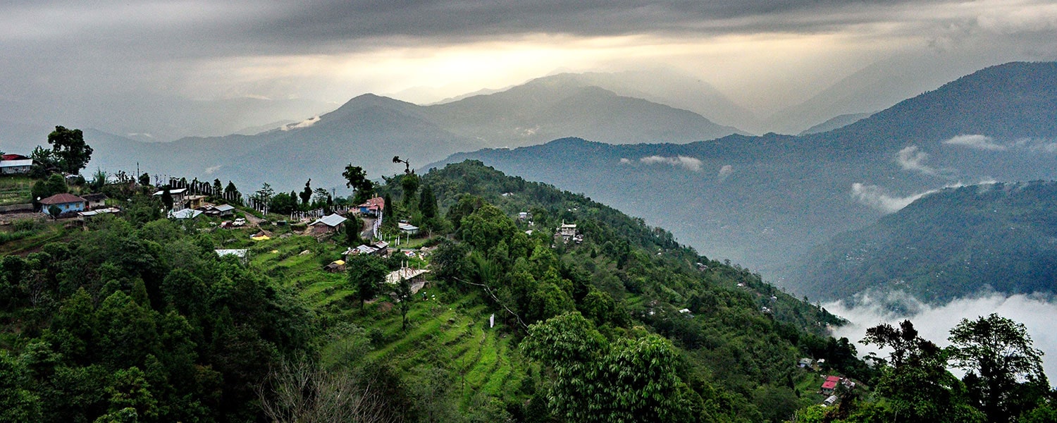 Whispering Pines - Rishyap and Lava Retreat