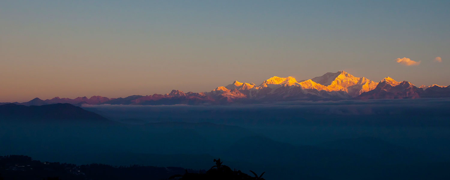 Into the Forest - Lepchajagat & Chatakpur Nature Stay